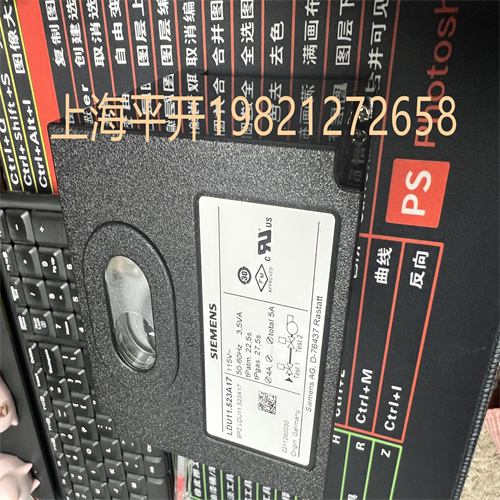 德國西門子進口產(chǎn)品MFN:VKP40.40競價