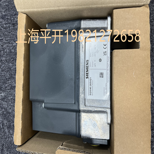 SIEMENS德國進口控制器技術產品MFN:RMG88.62C2