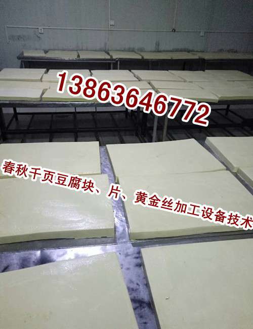 要想把千頁(yè)豆腐做好，選好千頁(yè)豆腐設(shè)備和千頁(yè)豆腐技術(shù)工藝，二者缺一不可