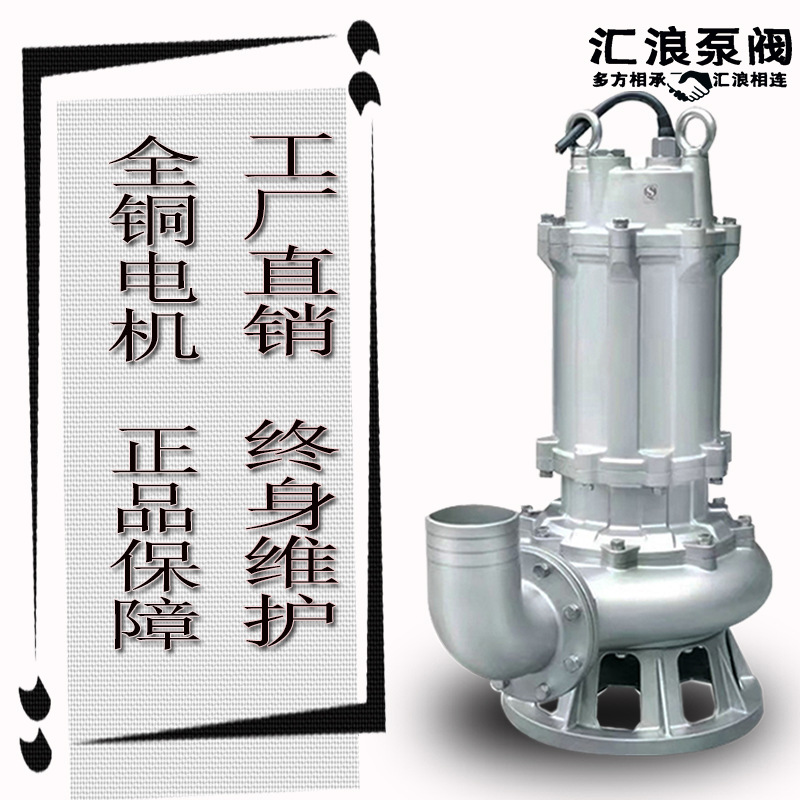 匯浪品牌 全不銹鋼排污泵 WQP污水提升泵 304材質(zhì)潛水泵 批發(fā)
