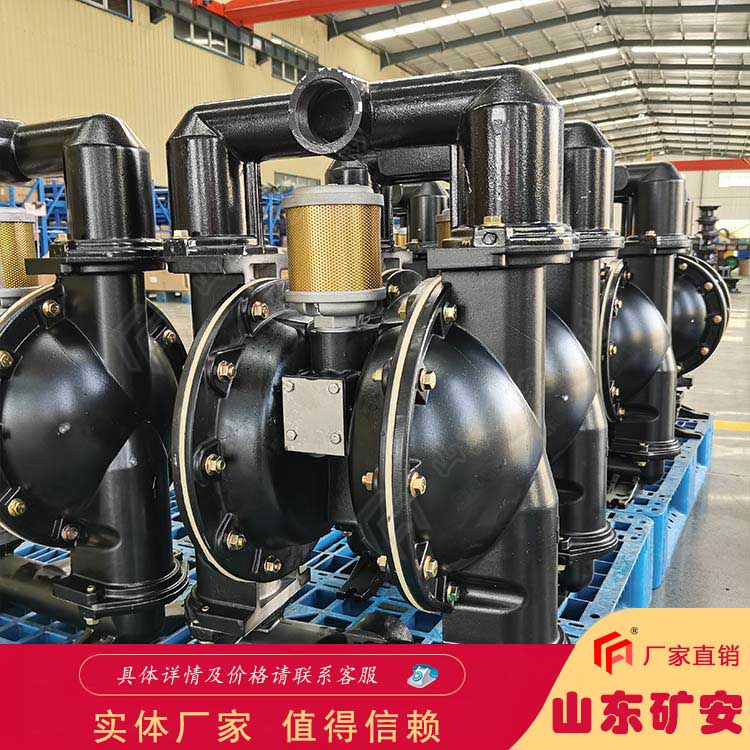 BQG320/0.3氣動隔膜泵材質多種