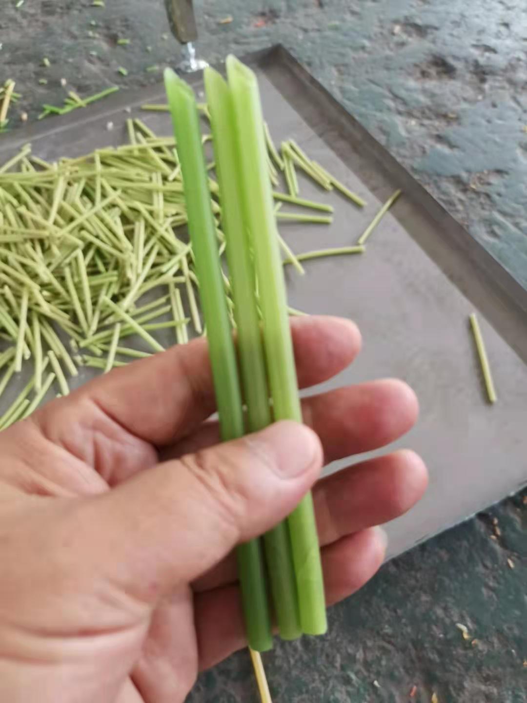 一次性餐具加工機(jī)械