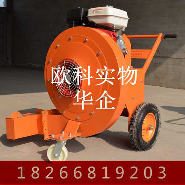 地面吹風(fēng)機(jī) 手推式公路除塵機(jī) 吹雪吹樹(shù)葉機(jī)