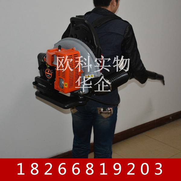 園林路面吹塵機(jī) 綠化落葉吹塵機(jī) 農(nóng)用吹雪機(jī)廠家