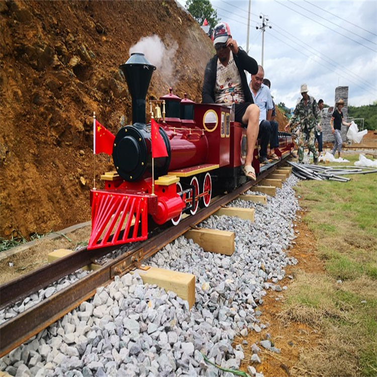 景區(qū)電動軌道小火車 四季游樂設(shè)備多功能游樂設(shè)備 商場無軌小火車