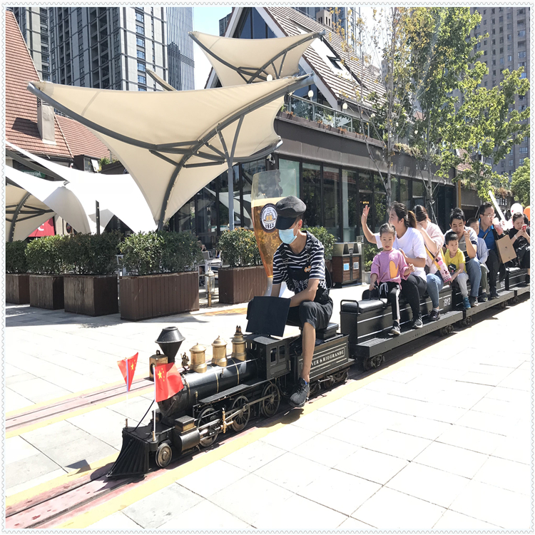 景區游玩觀光小火車 電動軌道小火車 多功能游樂設備 sdjy-2976