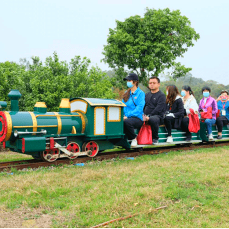 冰雪樂(lè)園無(wú)軌小火車(chē) 商場(chǎng)公園景區(qū)電動(dòng)觀光車(chē) 四季游樂(lè)設(shè)備