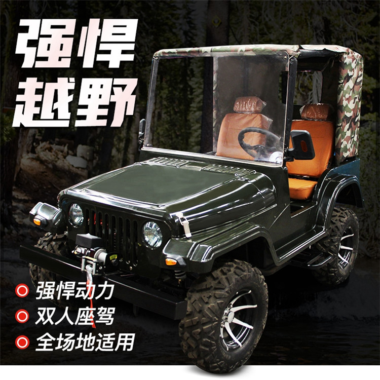 大人小孩都可玩的游樂(lè)設(shè)備 油電混驅(qū)動(dòng) 雙人款雪地車(chē)