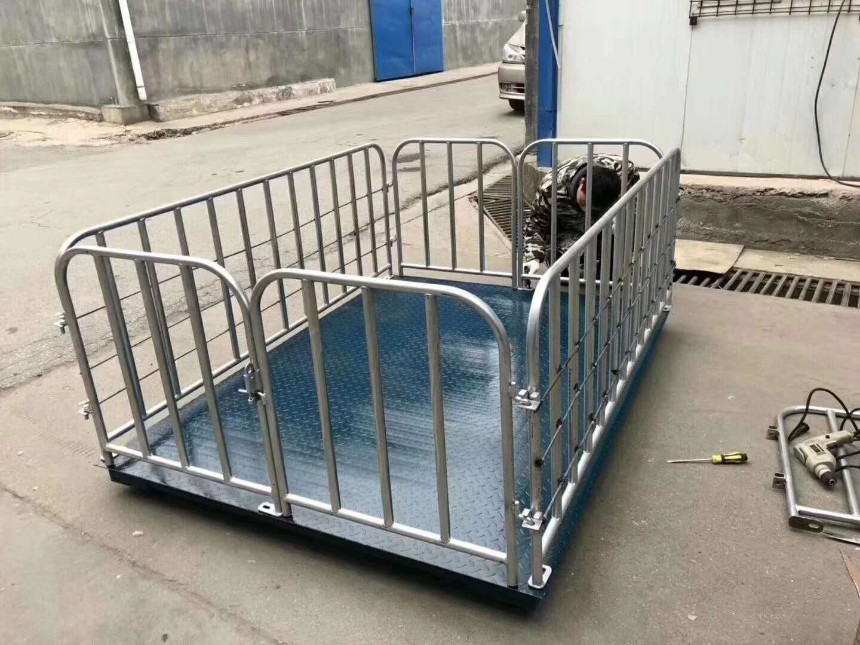 定制耐用稱豬地磅