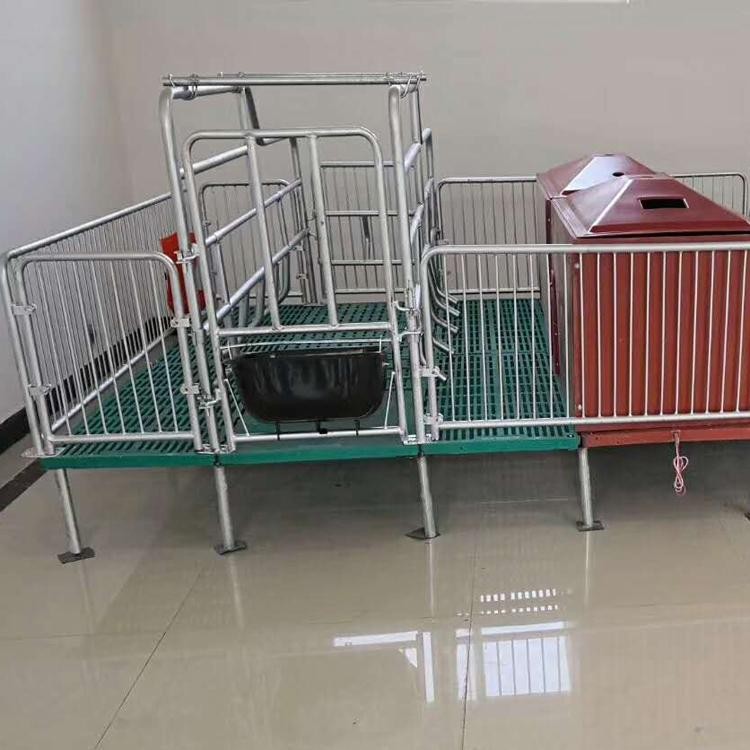 單體母豬產床產保一體兩用分娩床產子床養豬設備