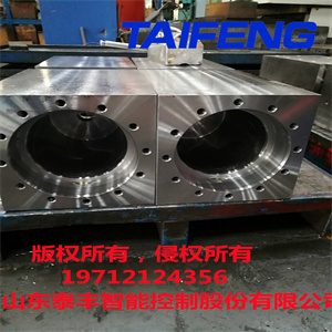 泰豐智能供應300噸折彎機油缸WC67Y-300HD-00