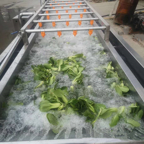 多功能蔬菜清洗機，果蔬清洗設備，菠菜清洗機