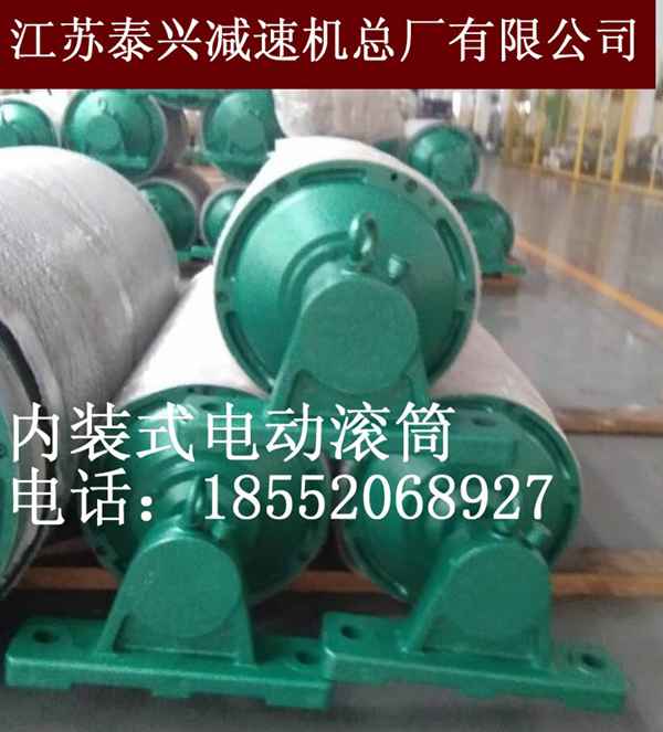 廣西320*1200外置式電動(dòng)滾筒源自泰興知名廠