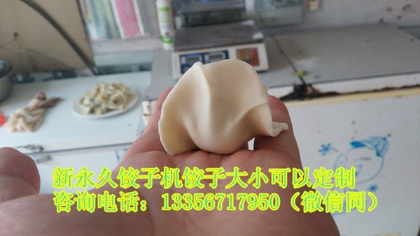 山東全自動小型餃子機sj-100
